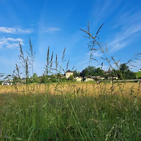 Wohnen Am Mit Garten Ii *